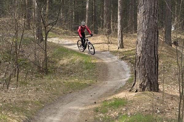 Schoorlse duinen mountainbike