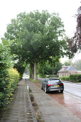 6 eiken hoordweg eelde paterswolde 2020 juli img 2873