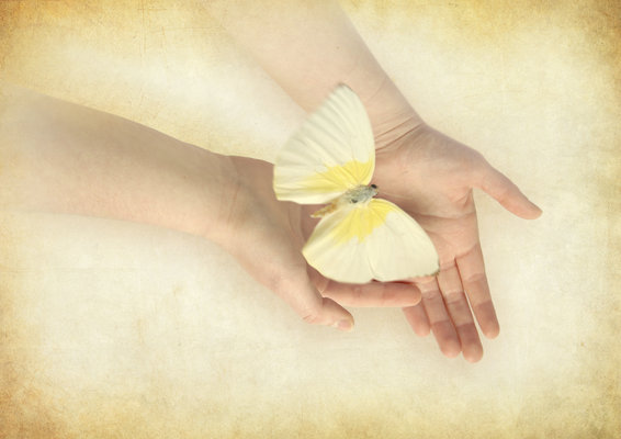 Website massagevlinder