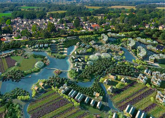 Milksbeek 2