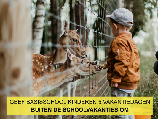 Petitie 2