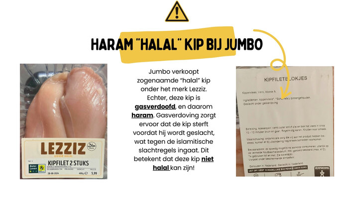 Jumbo verkoopt zogenaamde %e2%80%9chalal%e2%80%9d kip onder het merk lezziz. echter deze kip is gasverdoofd en daarom haram. gasverdoving zorgt ervoor dat de kip sterft voordat hij wordt geslacht wat tegen de