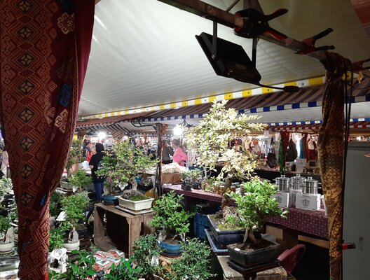 Pasar malam 2024