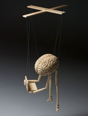 St essay persuasion profiling f