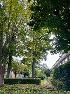 Afbeelding van whatsapp op 2025 10 09 om 18.37.32 e9cad246