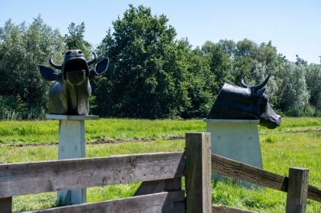 1da2f529828a0dc5750cc528a8c05abd 460 0