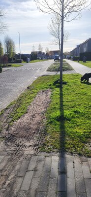 Whatsapp image 2026 04 12 at 09.41.54