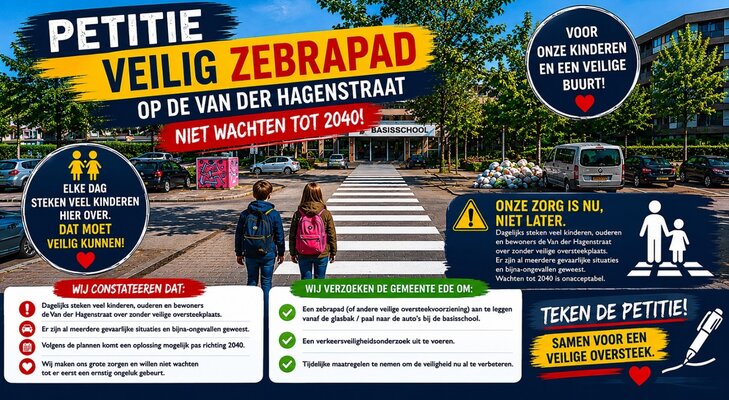 Petitie zebrapad horizontaal 1