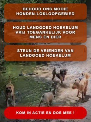 Petitie hondenlosloopbeleid