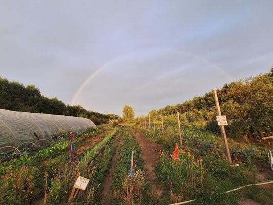 Foto brandneteltuin