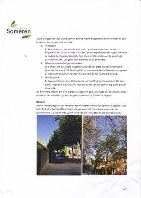 Bomen someren 0002